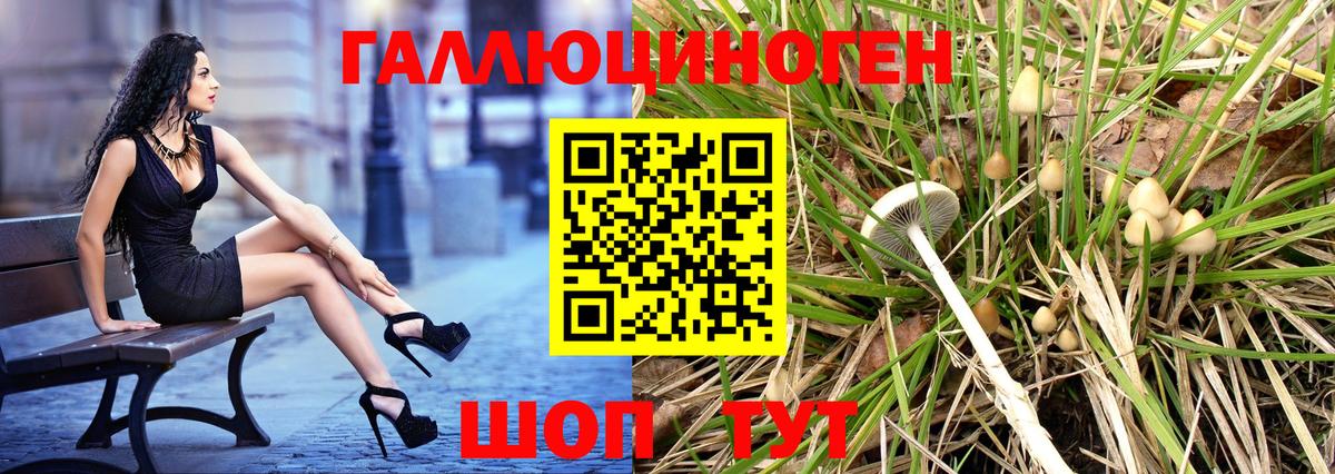 Соль-Илецк  Галлюциногенные грибы мухоморы  Вход с VPN 