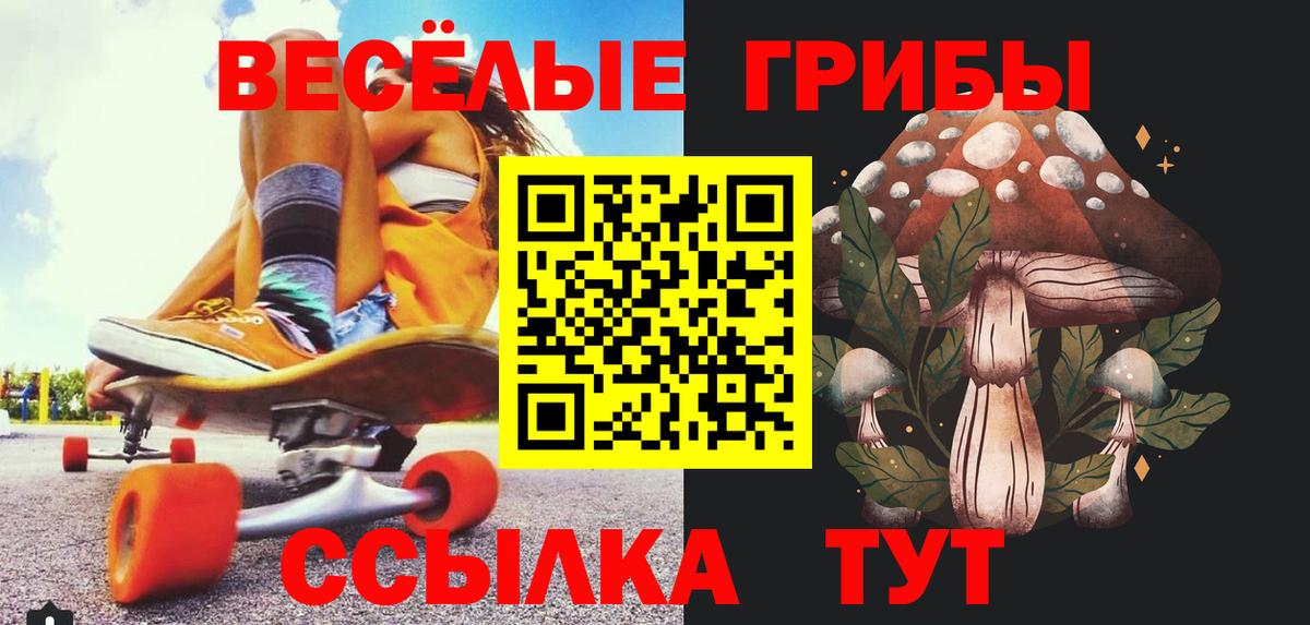 Галлюциногенные грибы Psilocybe Соль-Илецк